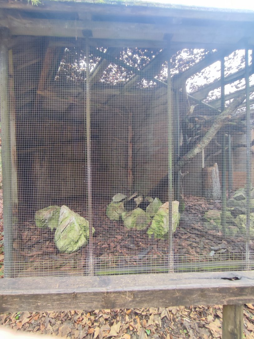 Stone marten enclosure - Wildpark Grünau/Cumberland
