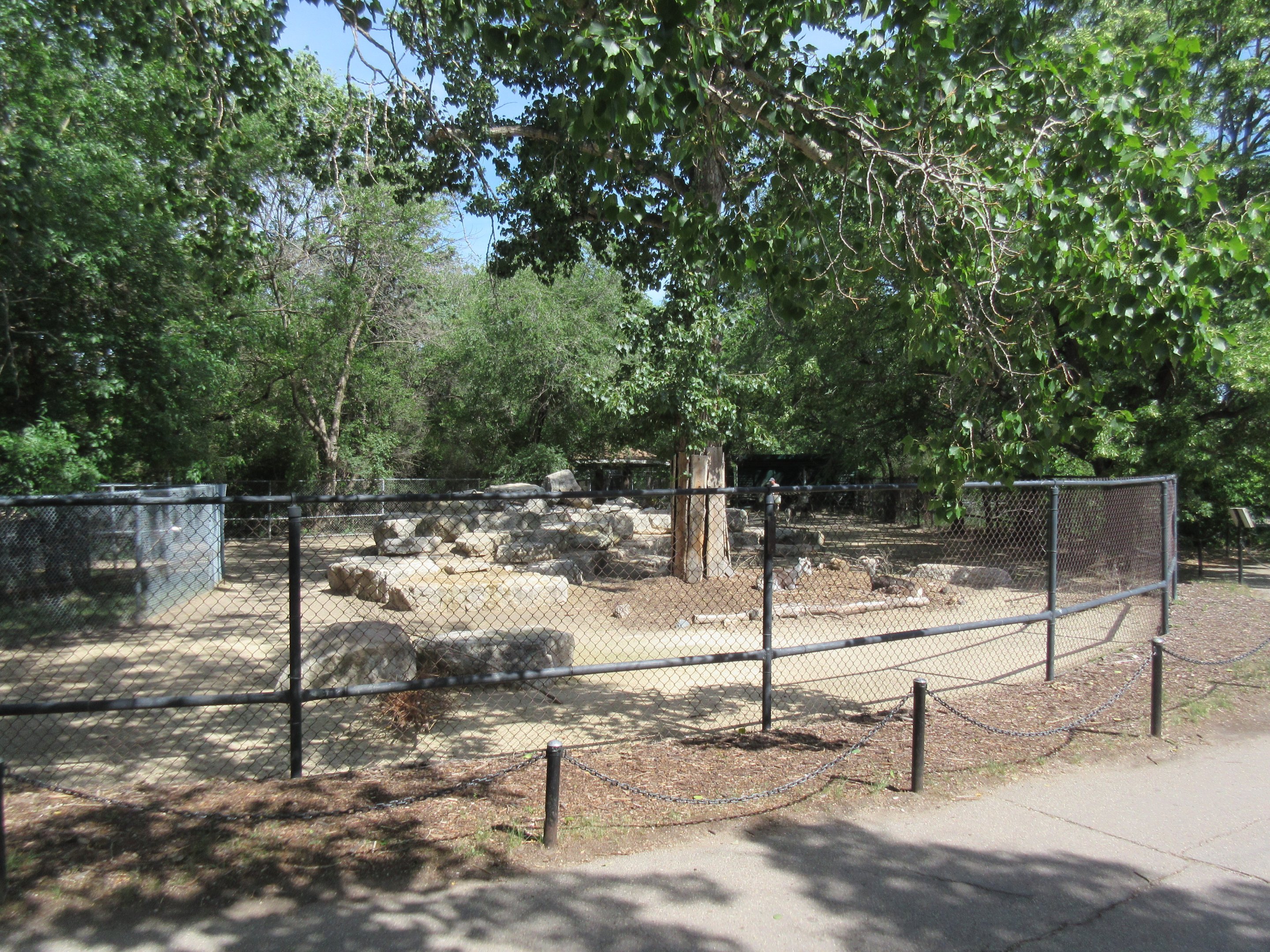 Stone Sheep Exhibit