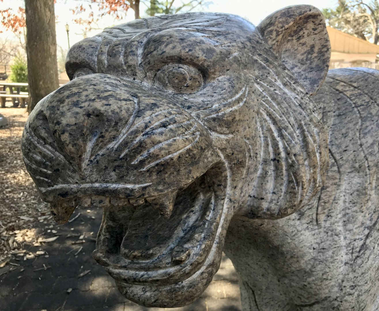 Stone Tiger Detail