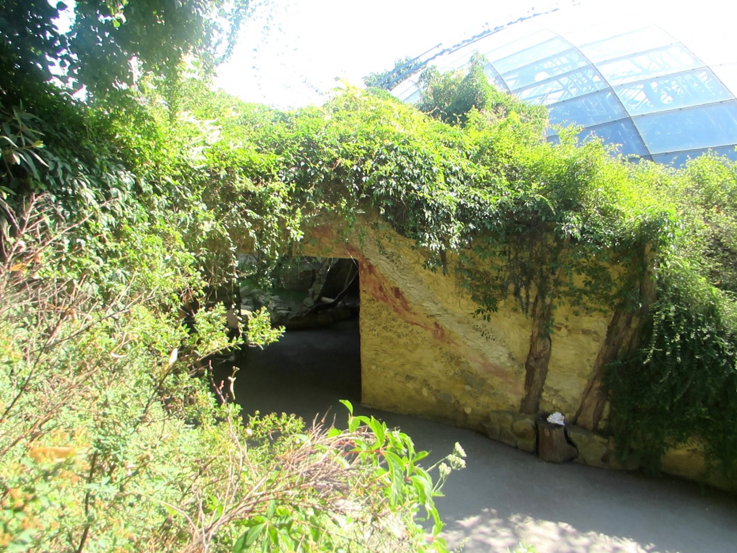 Stone tunnel and roof Pavilion - July/2017