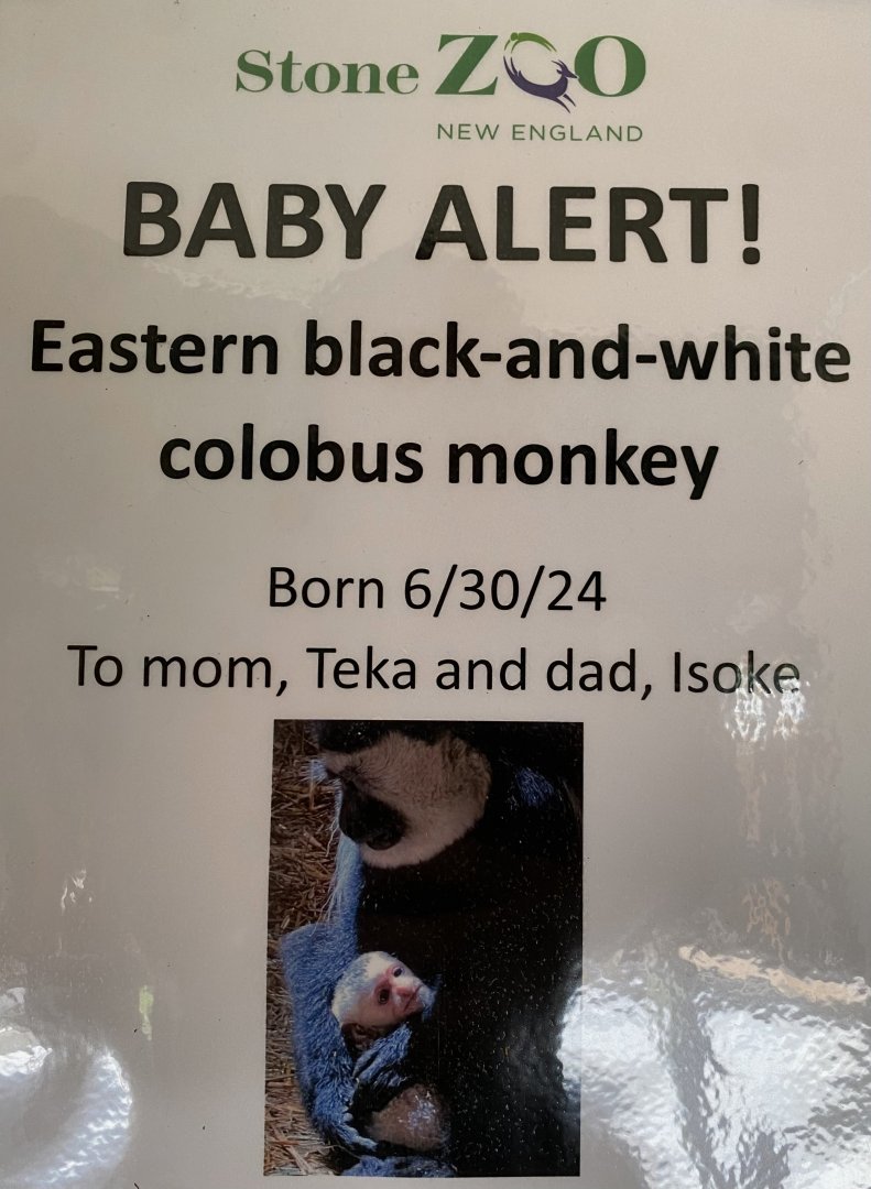 Stone Zoo 1/7/24
