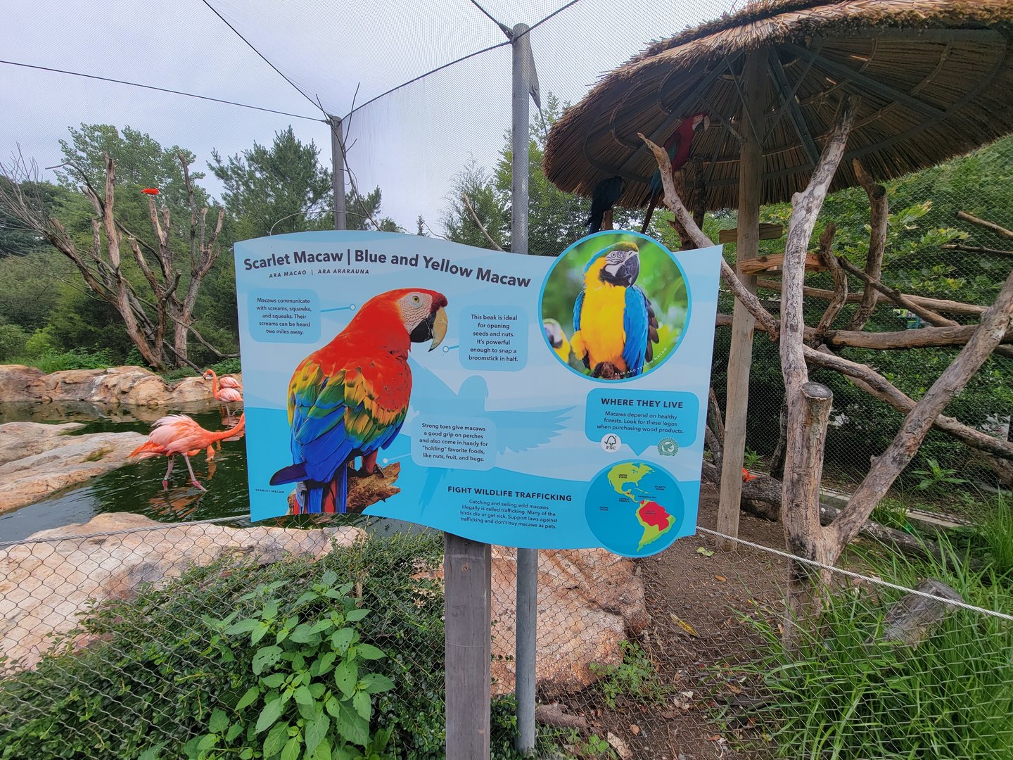 Stone Zoo 7/22 - Caribbean Coast signage