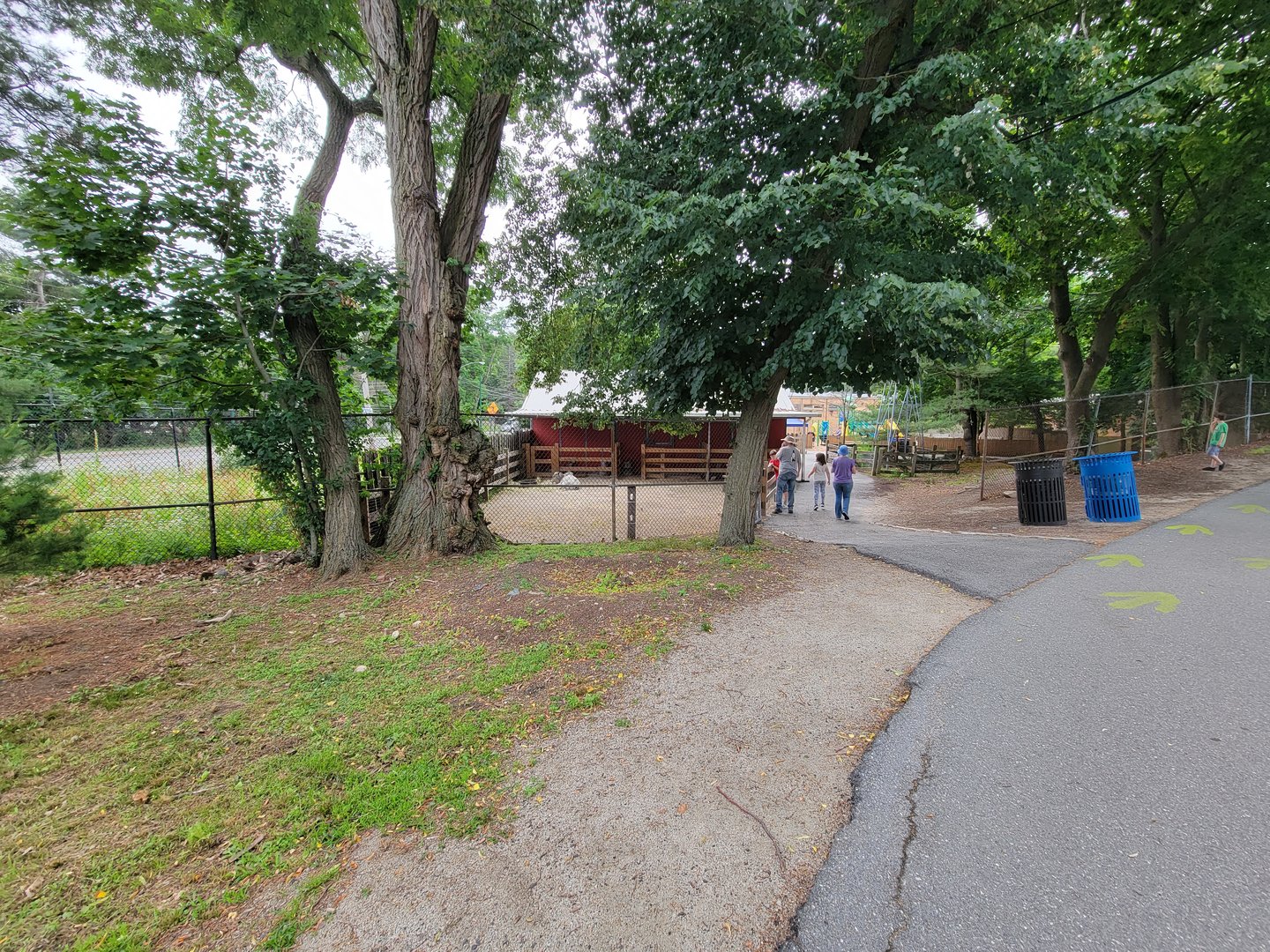 Stone Zoo 7/22 - Children's zoo