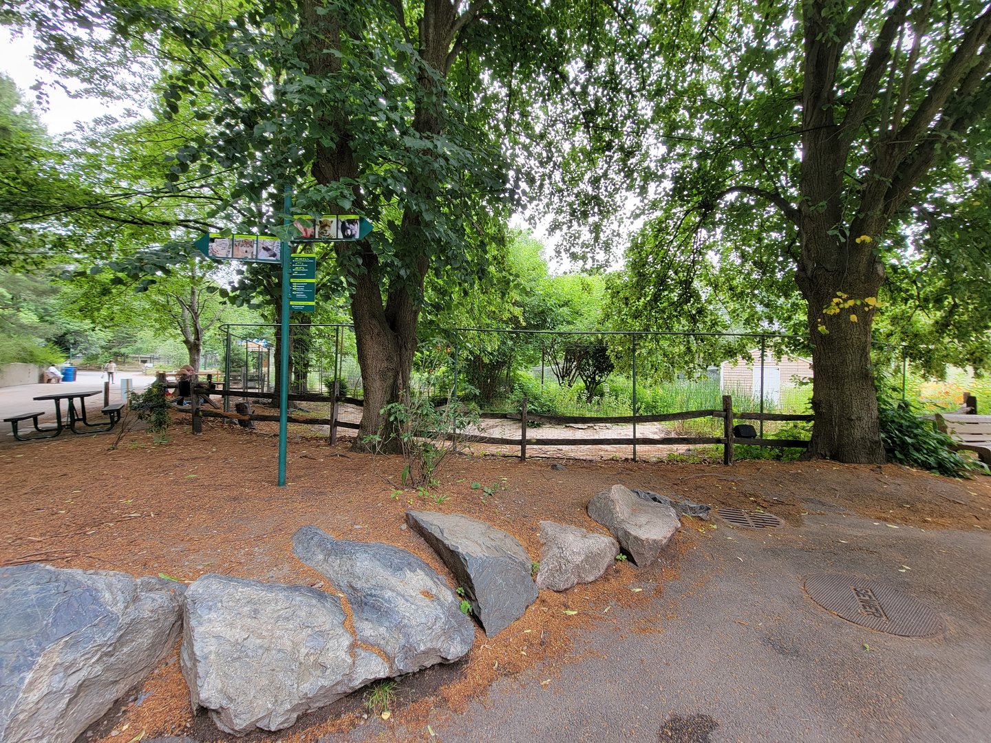 Stone Zoo 7/22 - Closed whooping crane yard