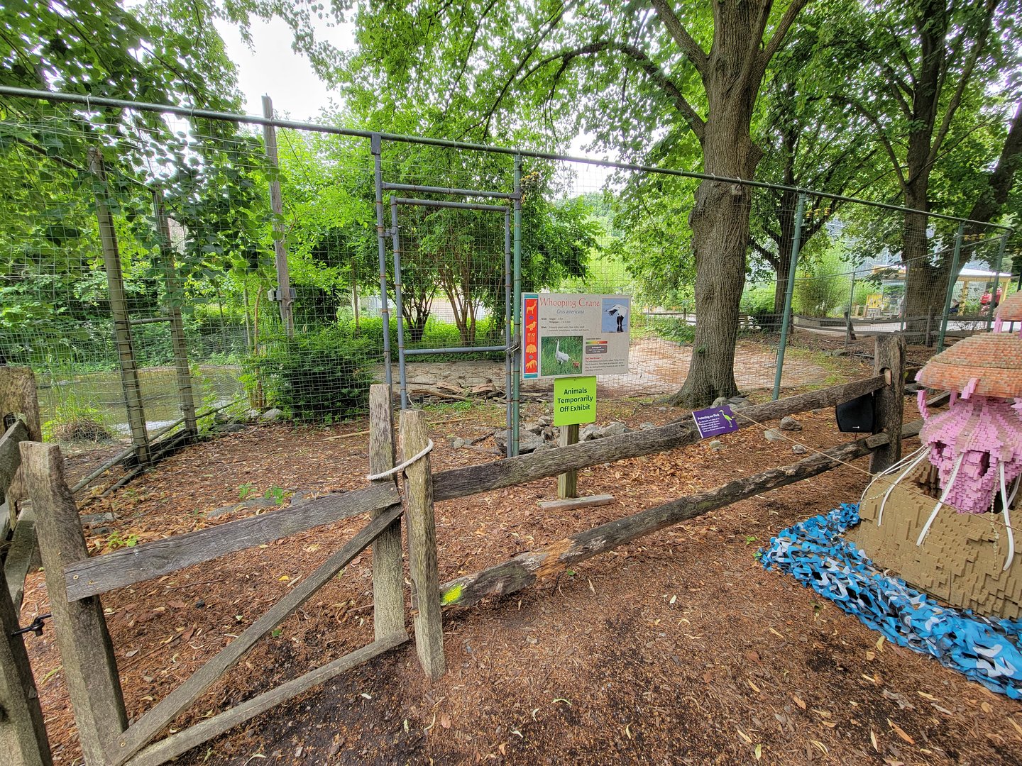 Stone Zoo 7/22 - Closed whooping crane yard