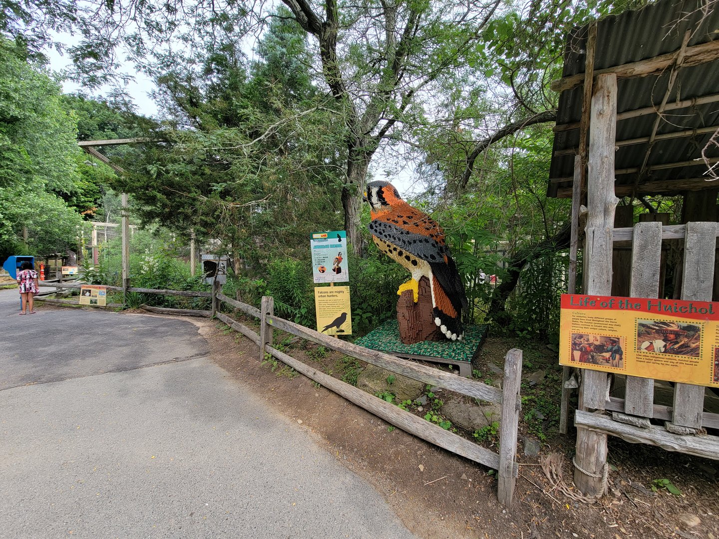 Stone Zoo 7/22 - Entering Treasures of the Sierra Madre