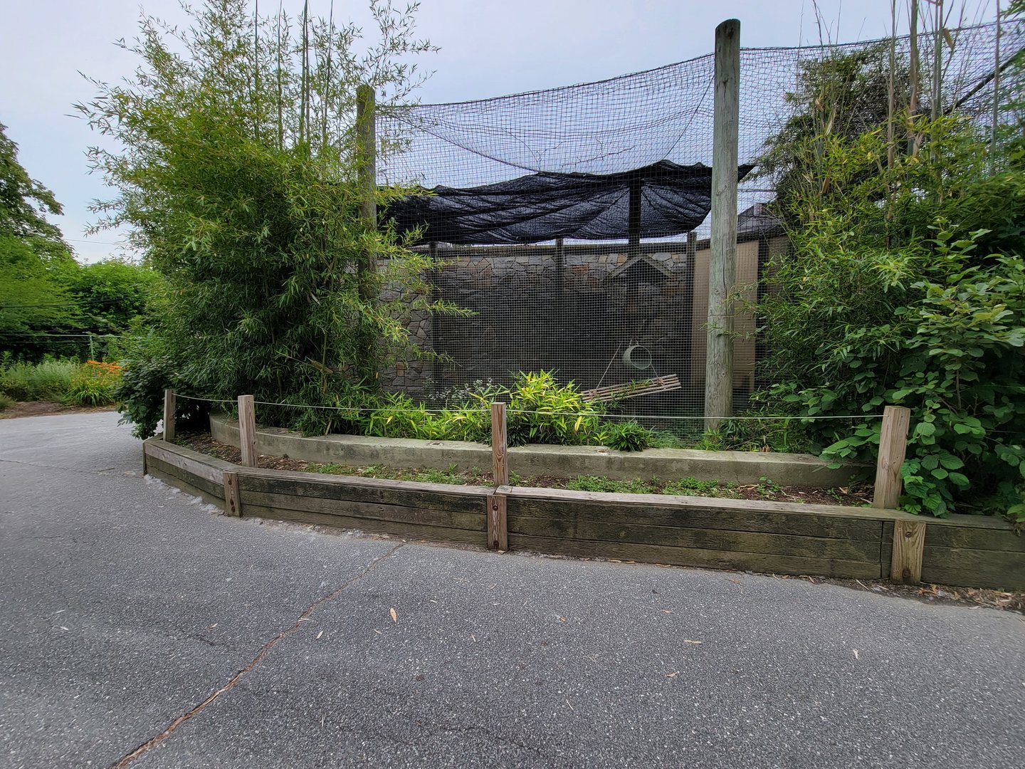 Stone Zoo 7/22 - Guereza Colobuses