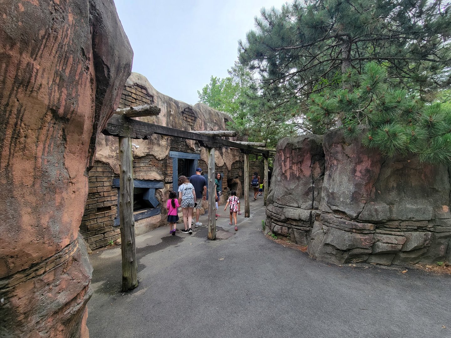 Stone Zoo 7/22 - Herp windows