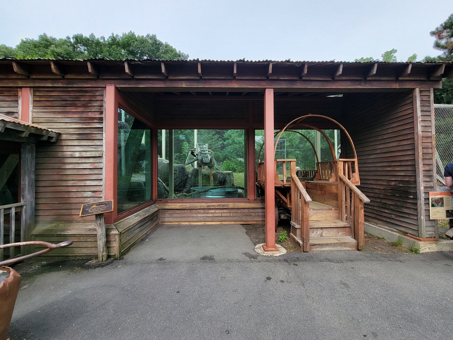 Stone Zoo 7/22 - Jaguar