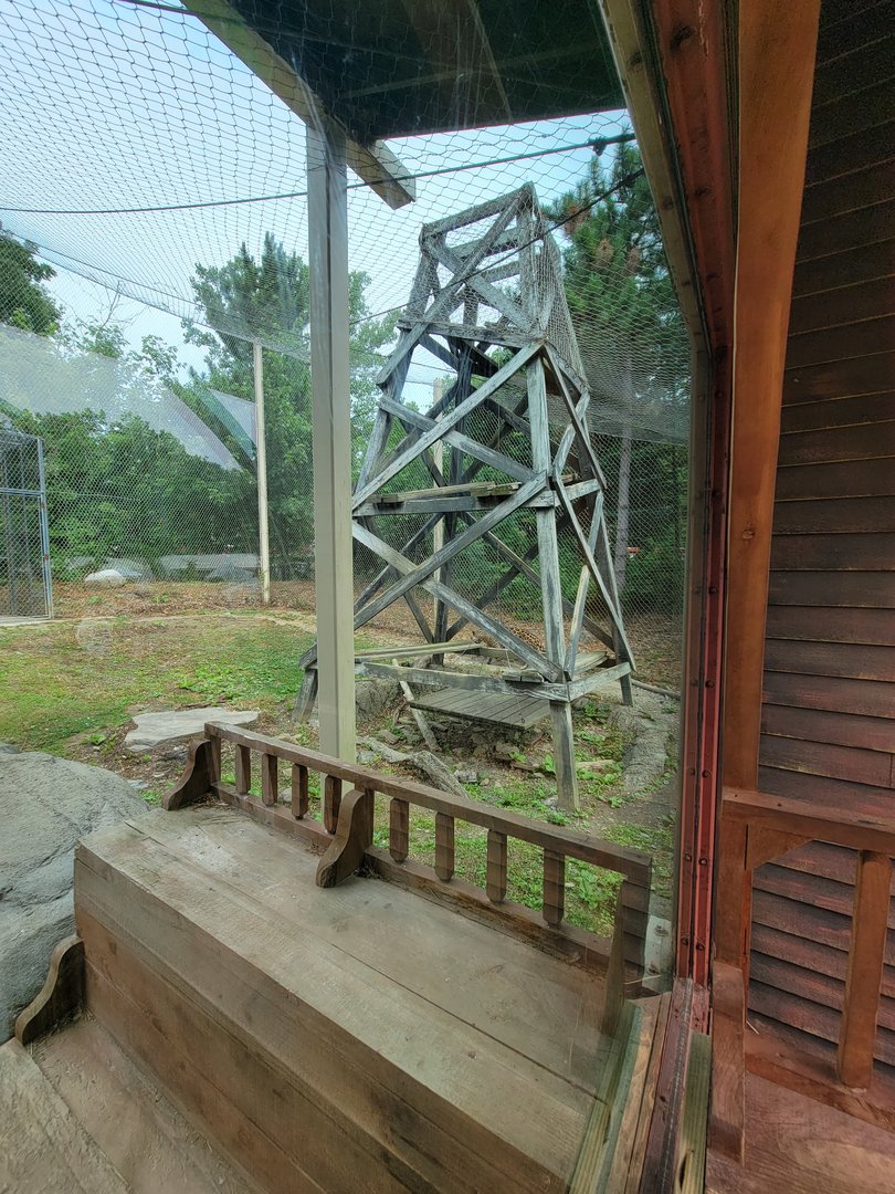 Stone Zoo 7/22 - Jaguar