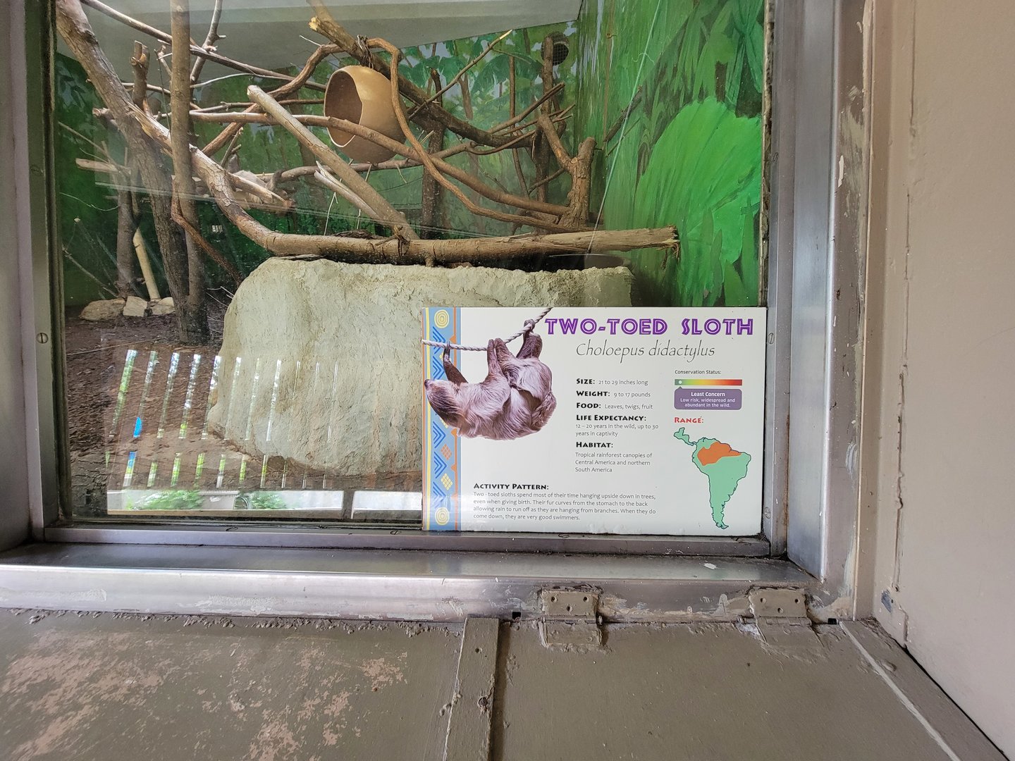 Stone Zoo 7/22 - Linnaeus's sloth, red-rumped agouti, second exhibit