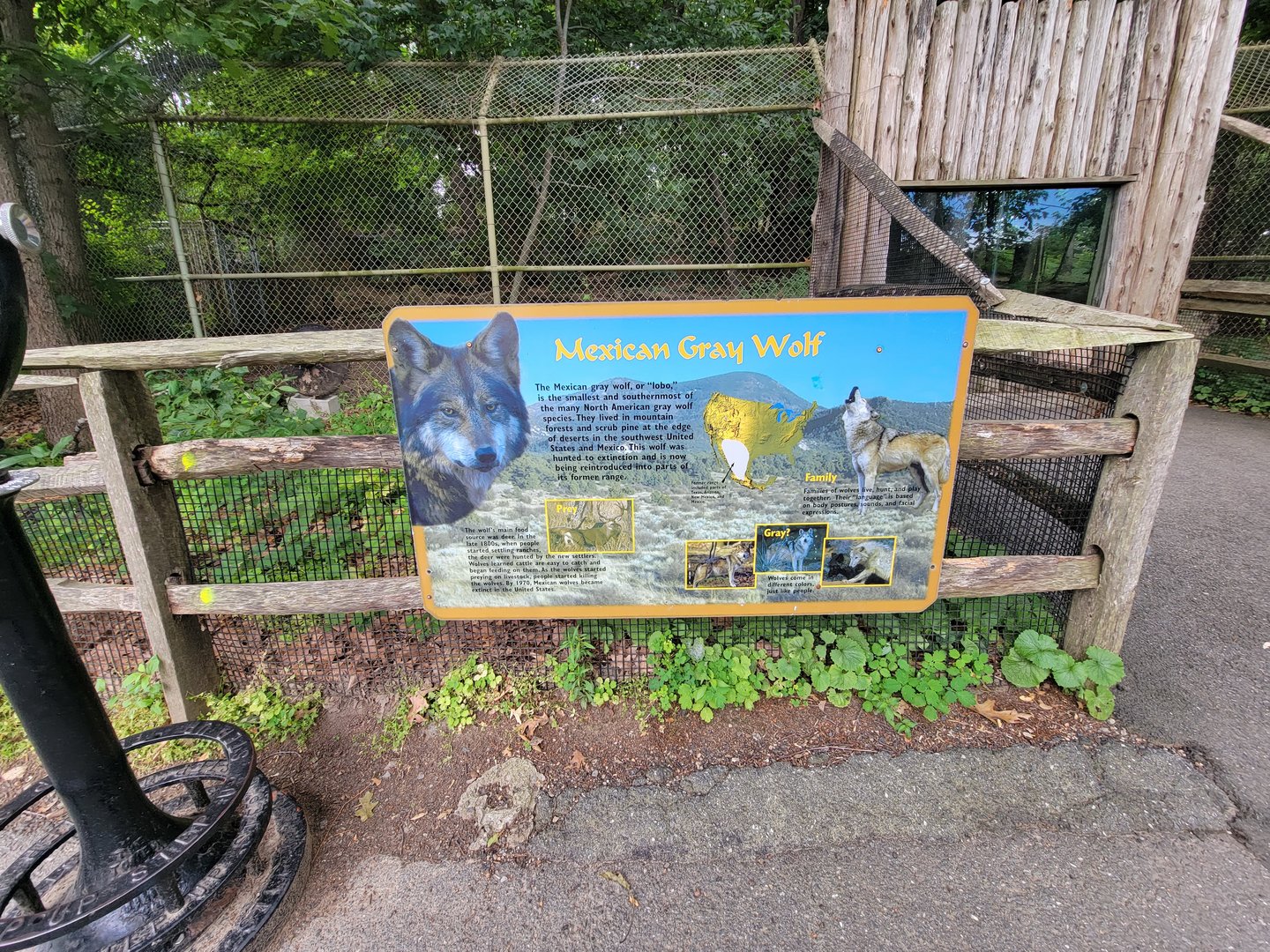 Stone Zoo 7/22 - Mexican gray wolf signage