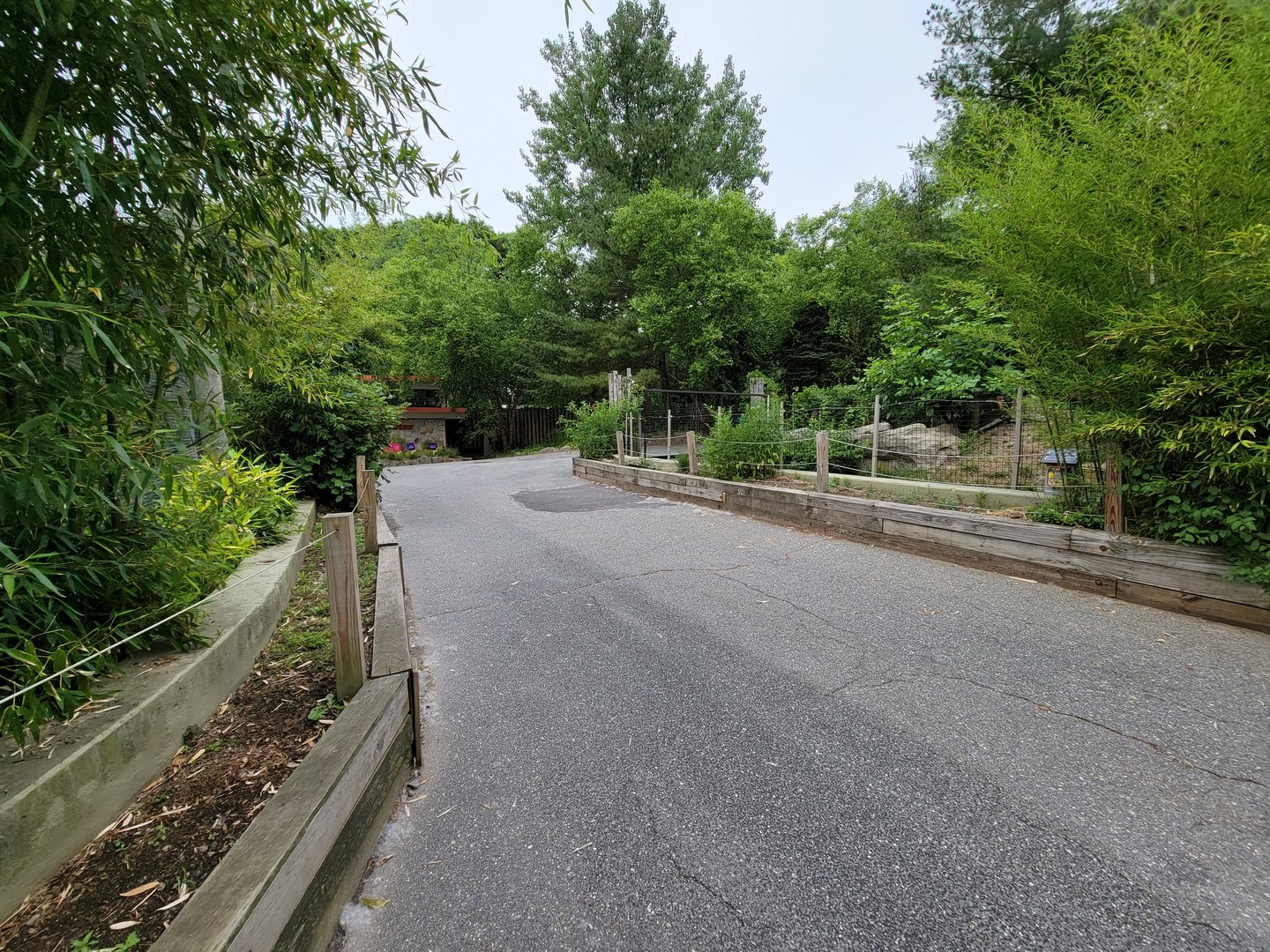 Stone Zoo 7/22 - Otters on right