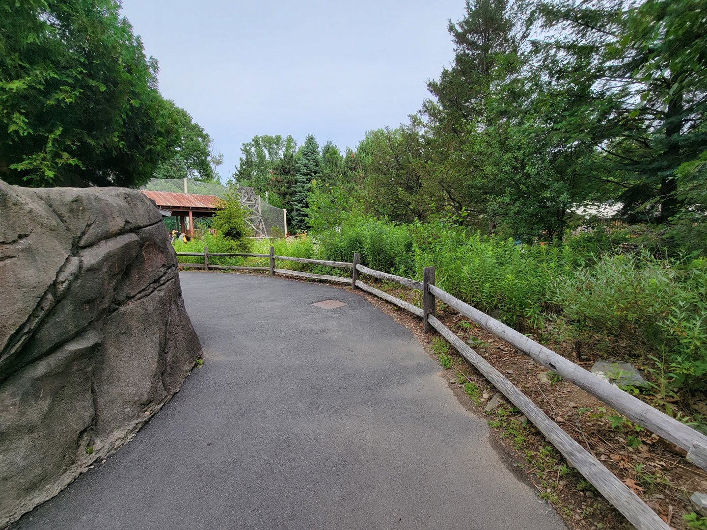 Stone Zoo 7/22 - Path