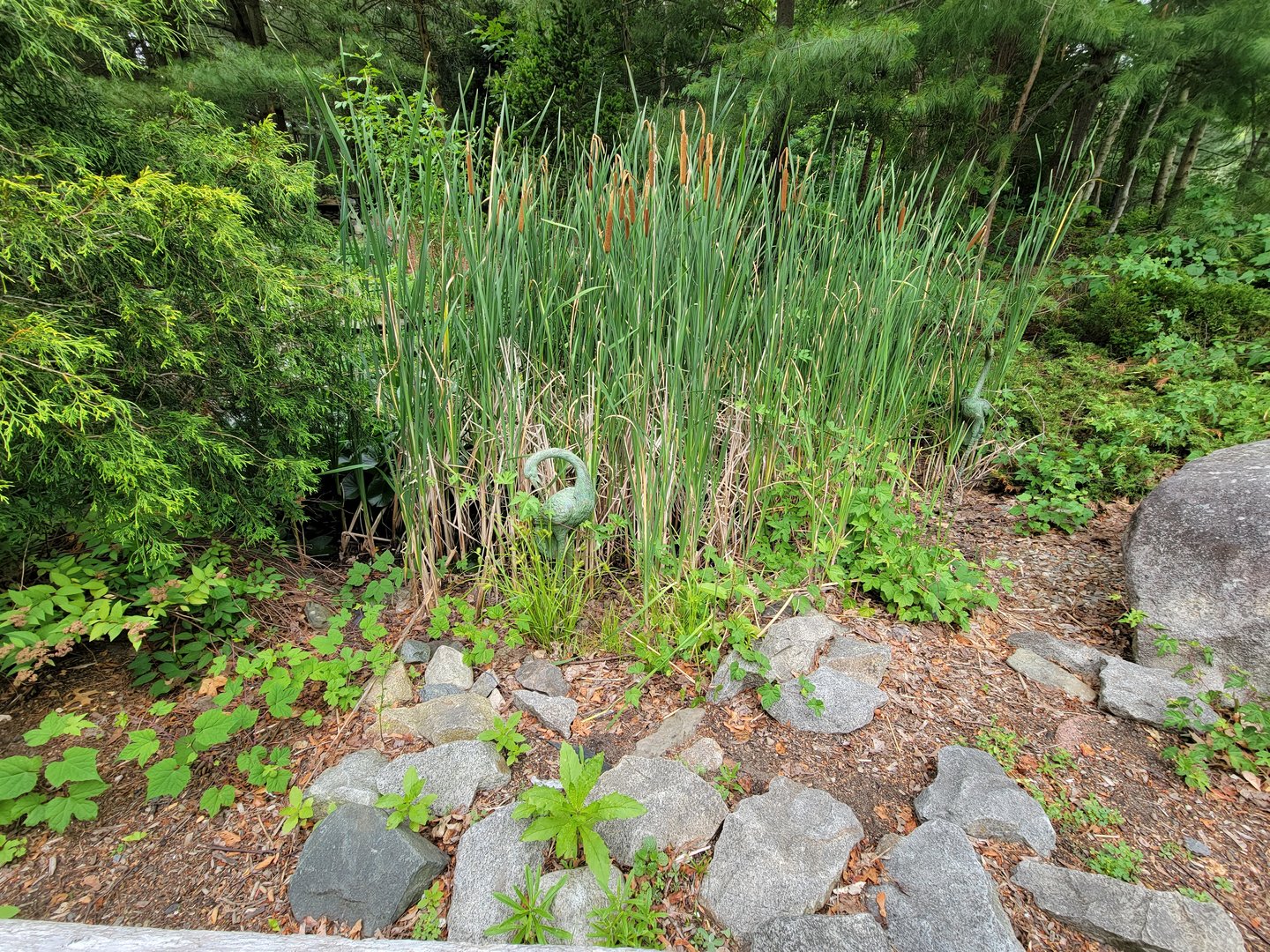 Stone Zoo 7/22 - The only cranes I saw :(