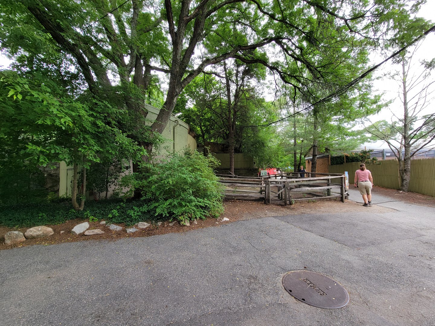 Stone Zoo 7/22 - Tortoises