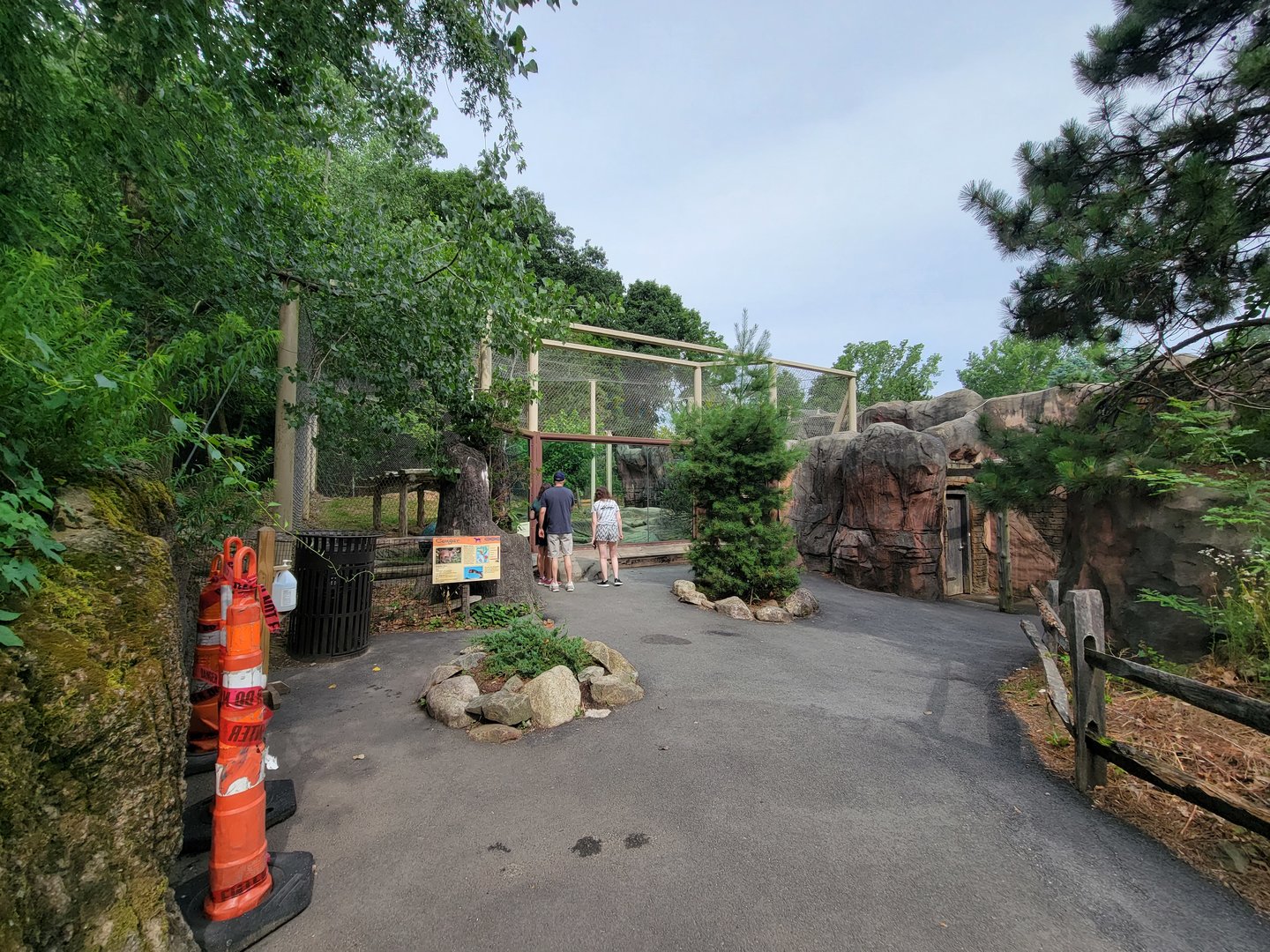 Stone Zoo 7/22 - Treasures of the Sierra Madre, Cougar exhibit