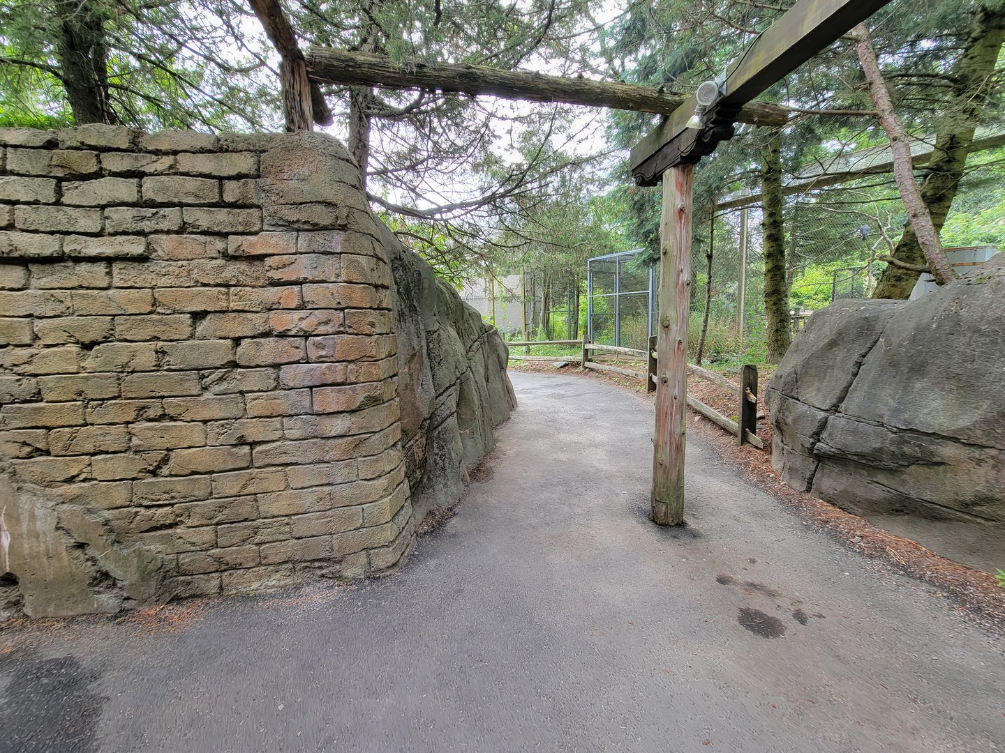 Stone Zoo 7/22 - Treasures of the Sierra Madre path