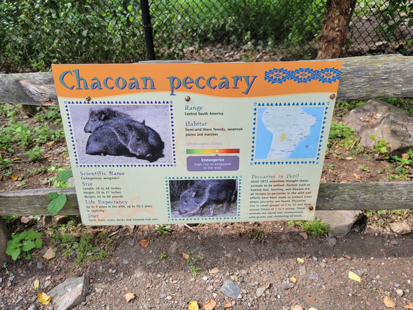 Stone Zoo 7/22 - Treasures of the Sierra Madre signage