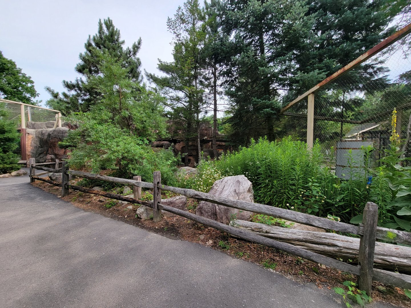 Stone Zoo 7/22 - Treasures of the Sierra Madre