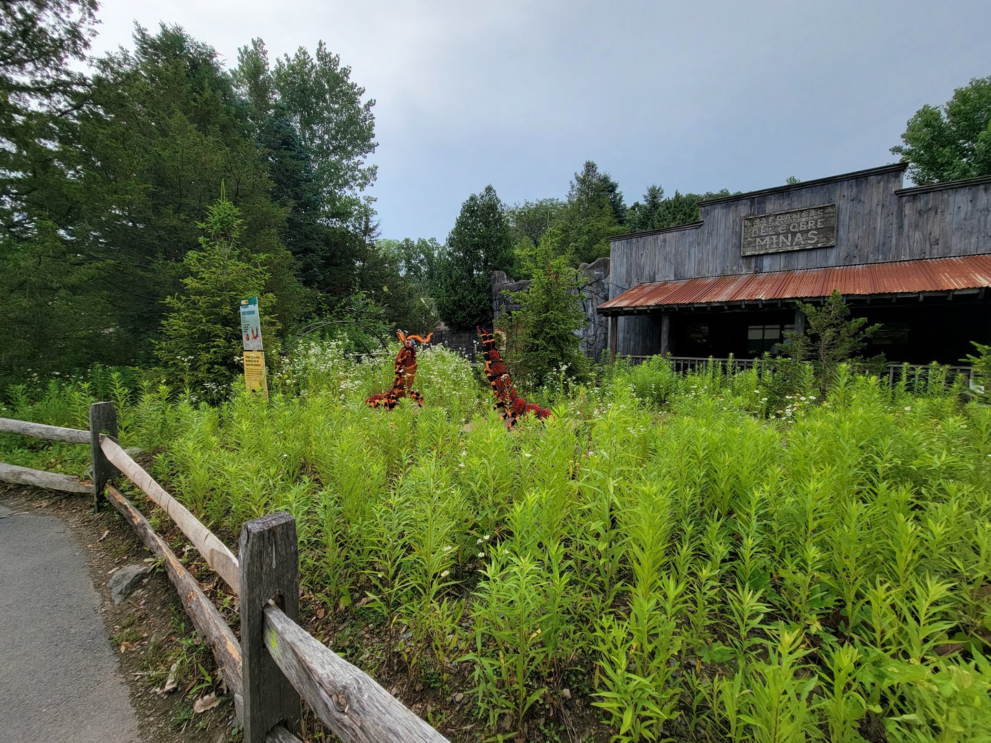 Stone Zoo 7/22 - Treasures of the Sierra Madre