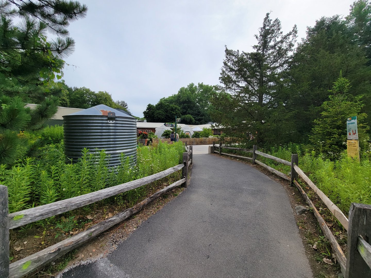 Stone Zoo 7/22 - Treasures of the Sierra Madre