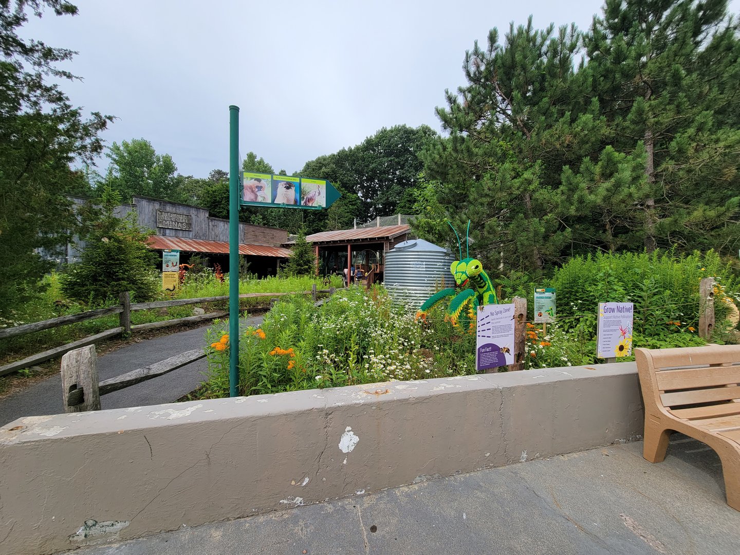 Stone Zoo 7/22 - Treasures of the Sierra Madre