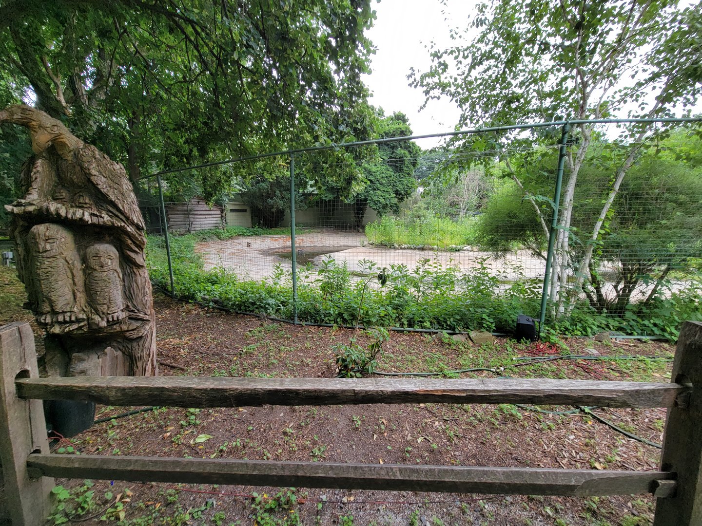 Stone Zoo 7/22 - unsigned, whooping crane area?