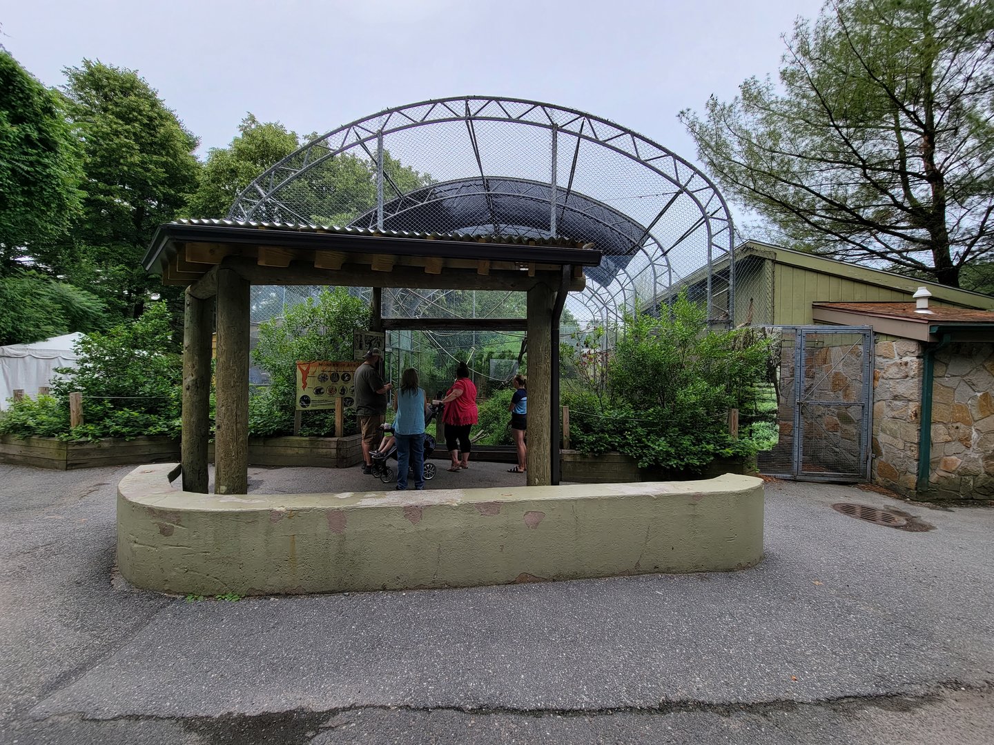 Stone Zoo 7/22 - White-cheeked Gibbons