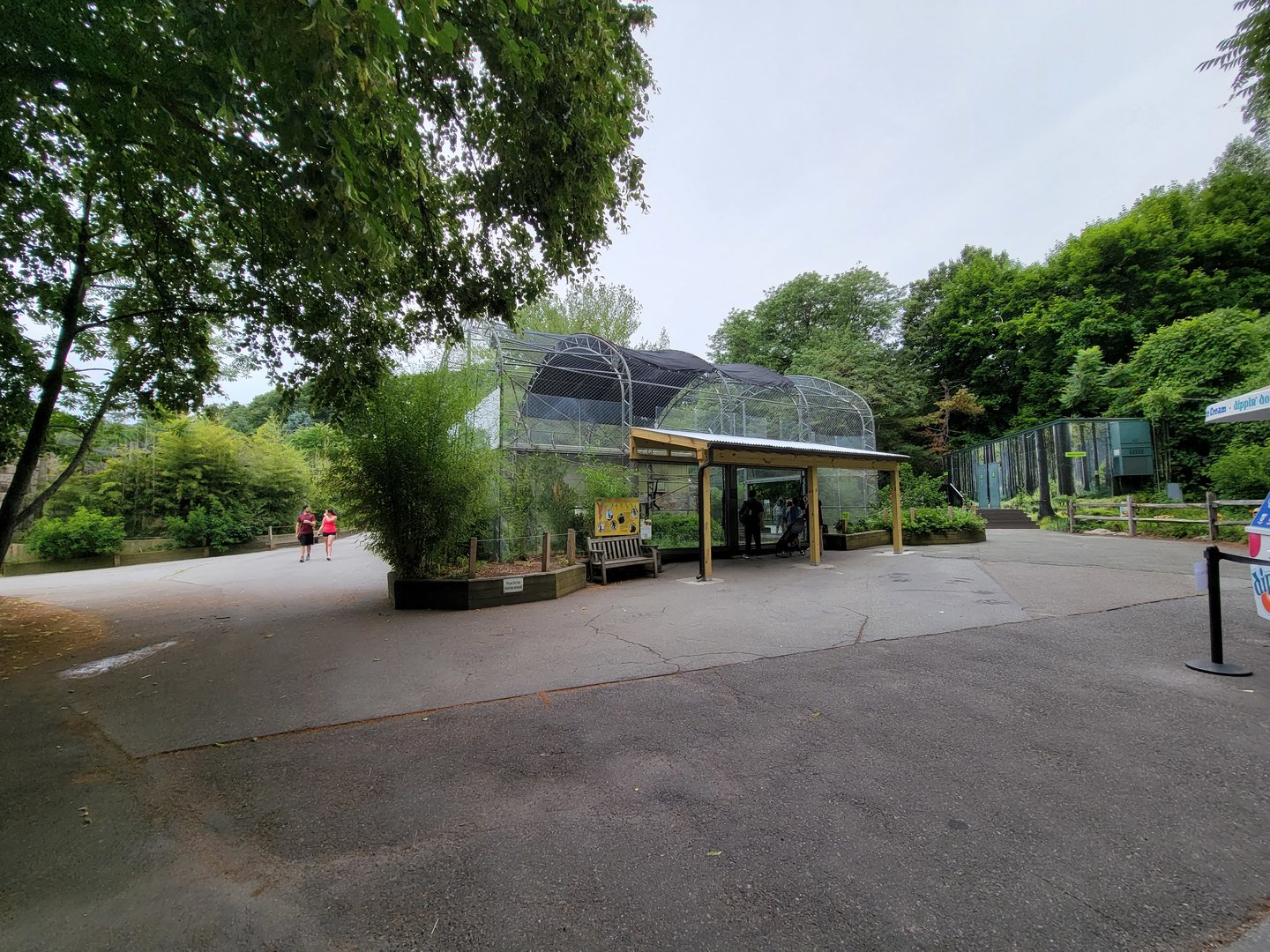 Stone Zoo 7/22 - White-cheeked Gibbons