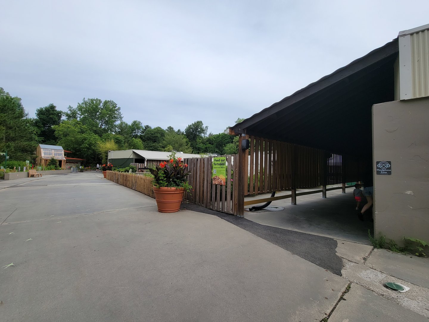 Stone Zoo 7/22 - Windows to the Wild