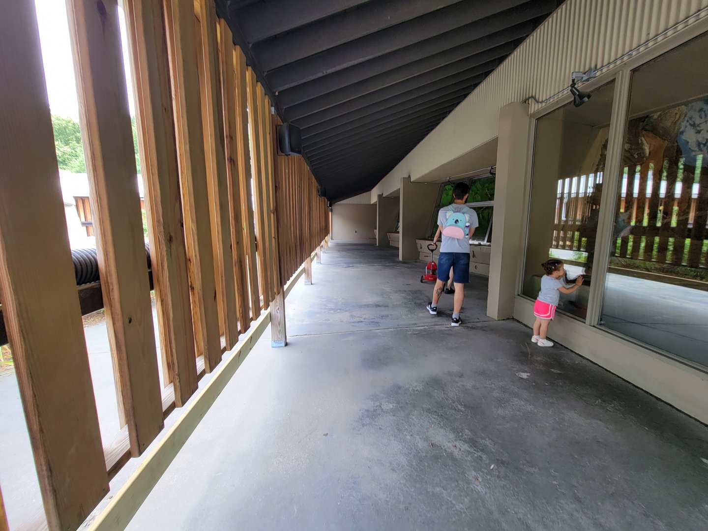 Stone Zoo 7/22 - Windows to the Wild