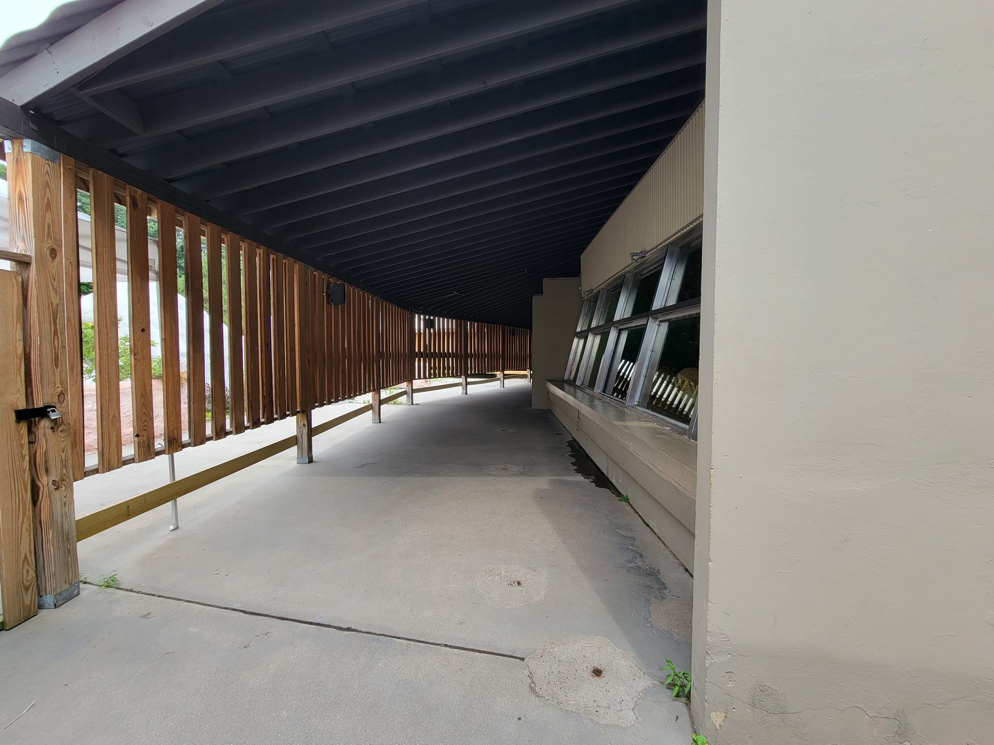 Stone Zoo 7/22 - Windows to the Wild