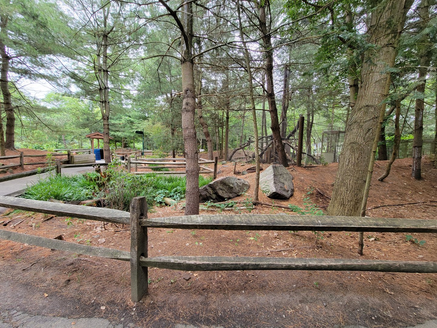 Stone Zoo 7/22 - Yukon Creek path