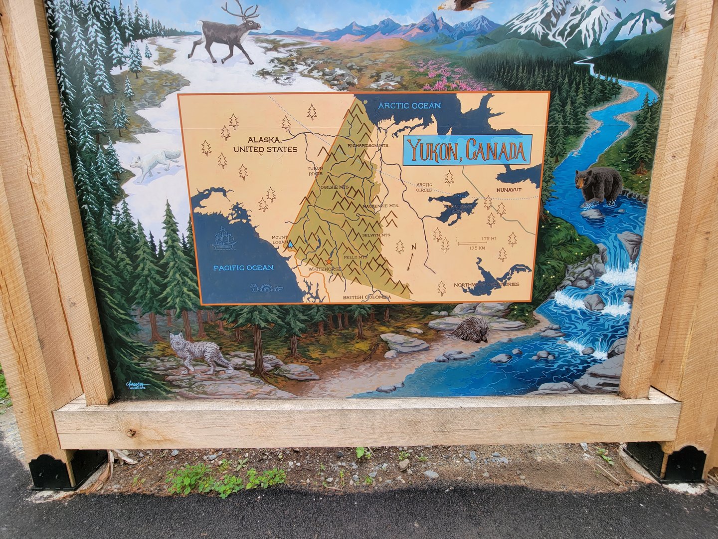 Stone Zoo 7/22 - Yukon Creek