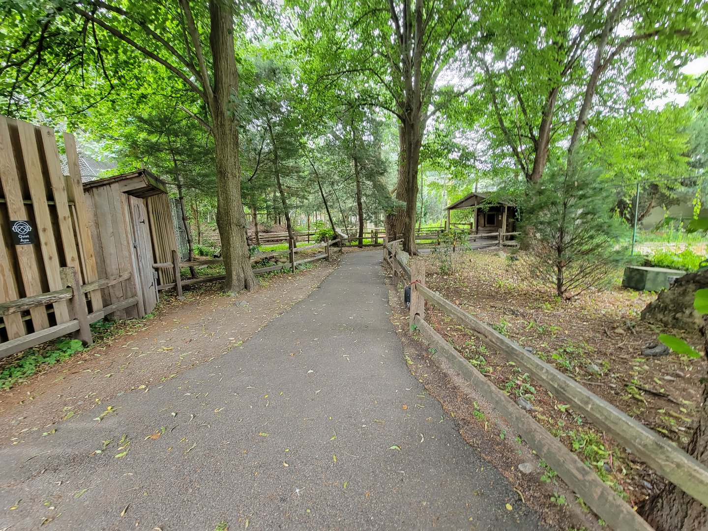 Stone Zoo 7/22 - Yukon Creek