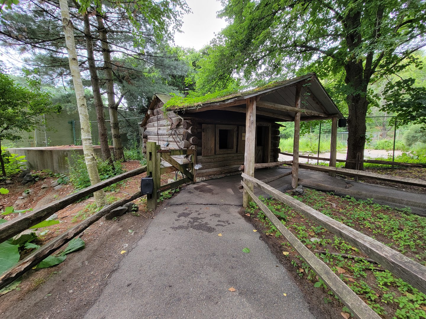 Stone Zoo 7/22 - Yukon Creek