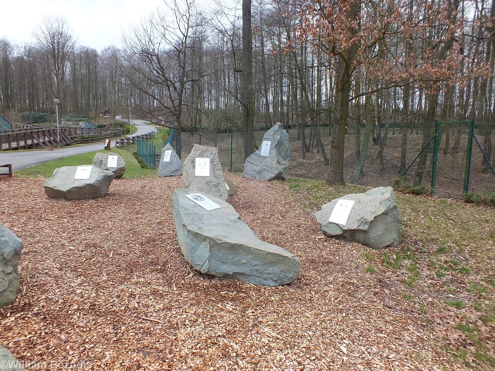 Stones of Extinct Species