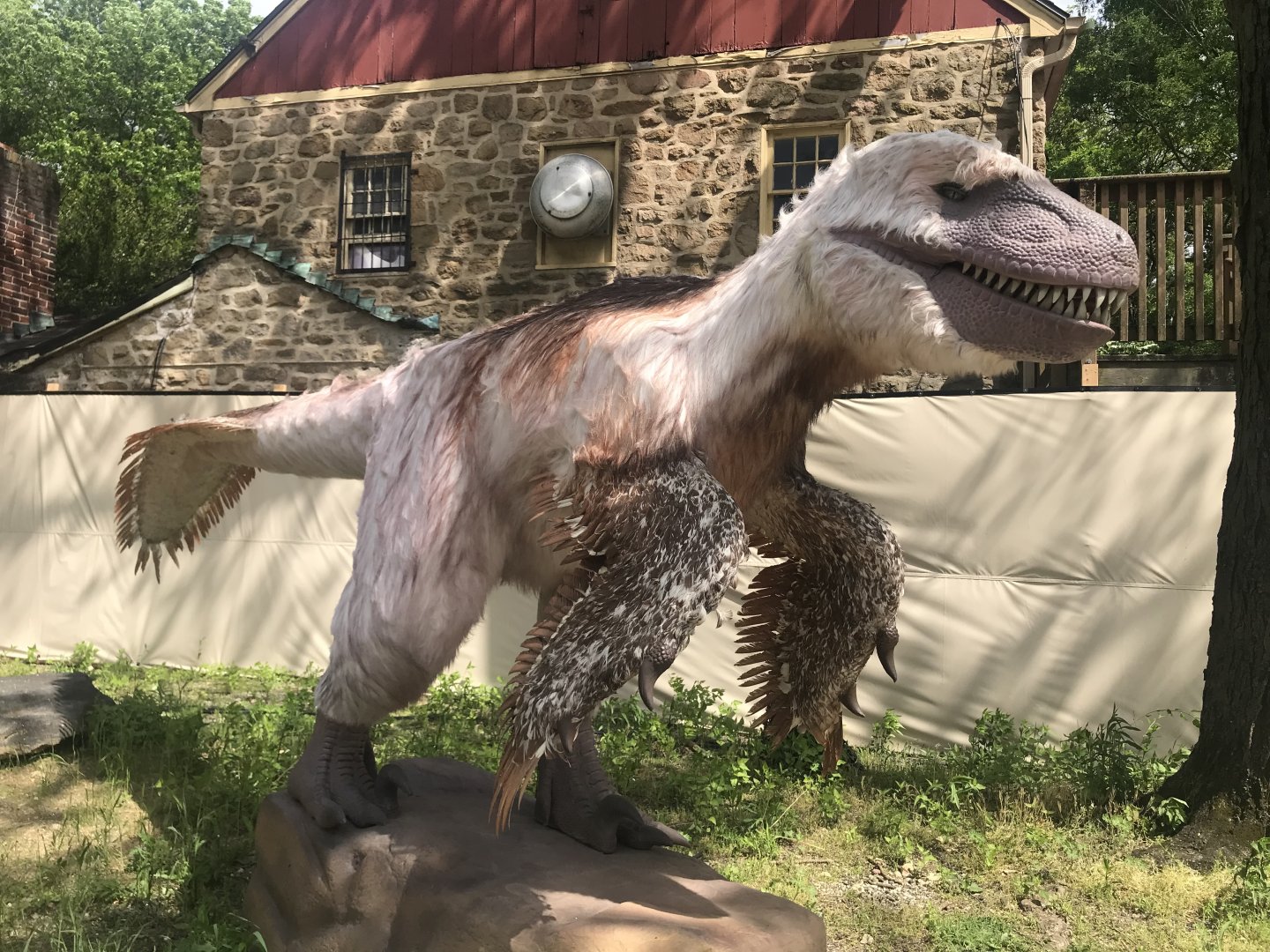Stop 10: Dakotaraptor