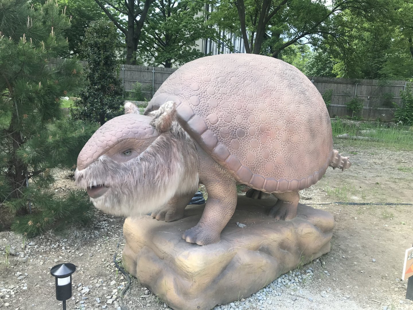 Stop 14: Glyptodon