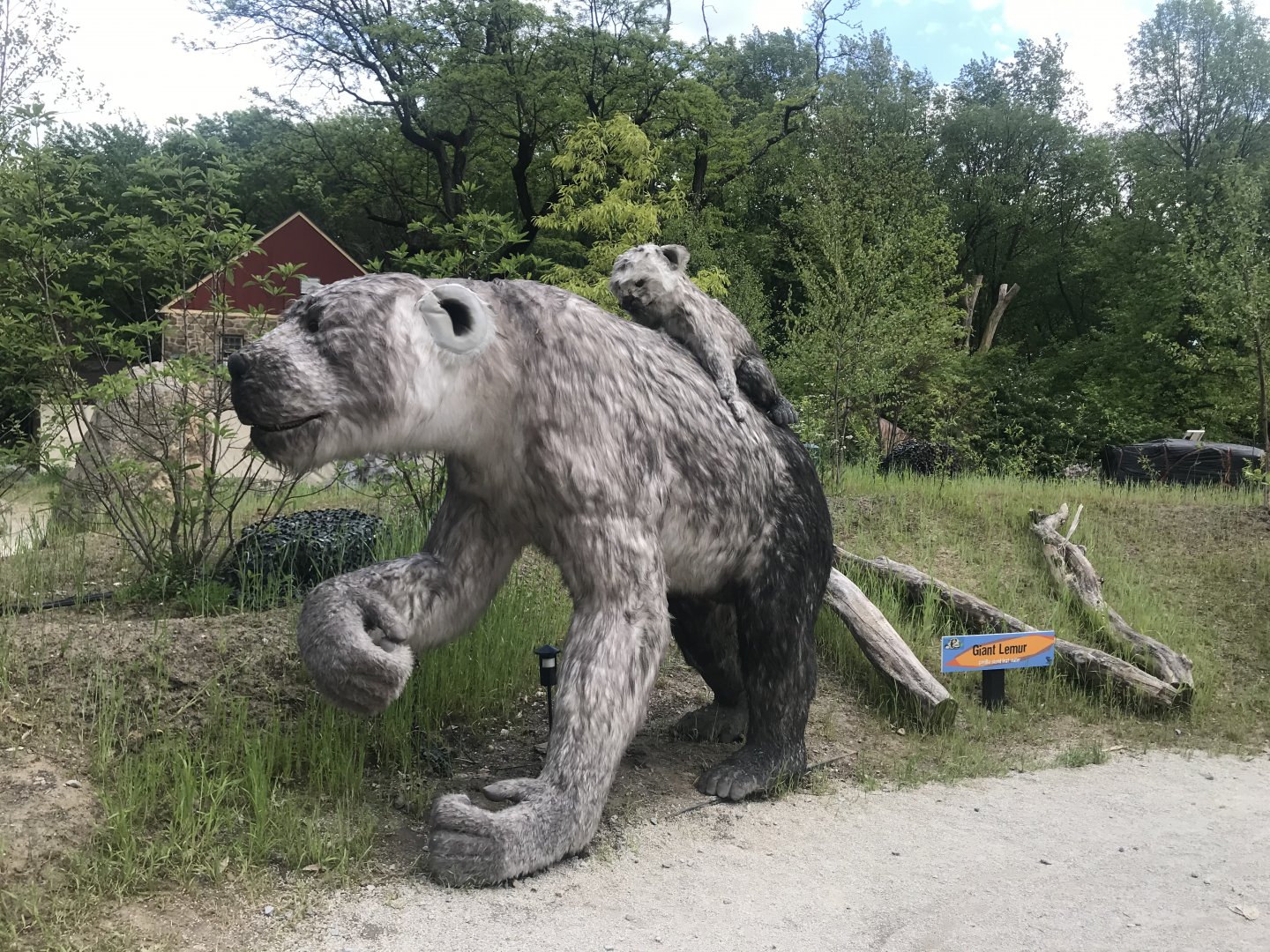 Stop 16: Gorilla Lemur