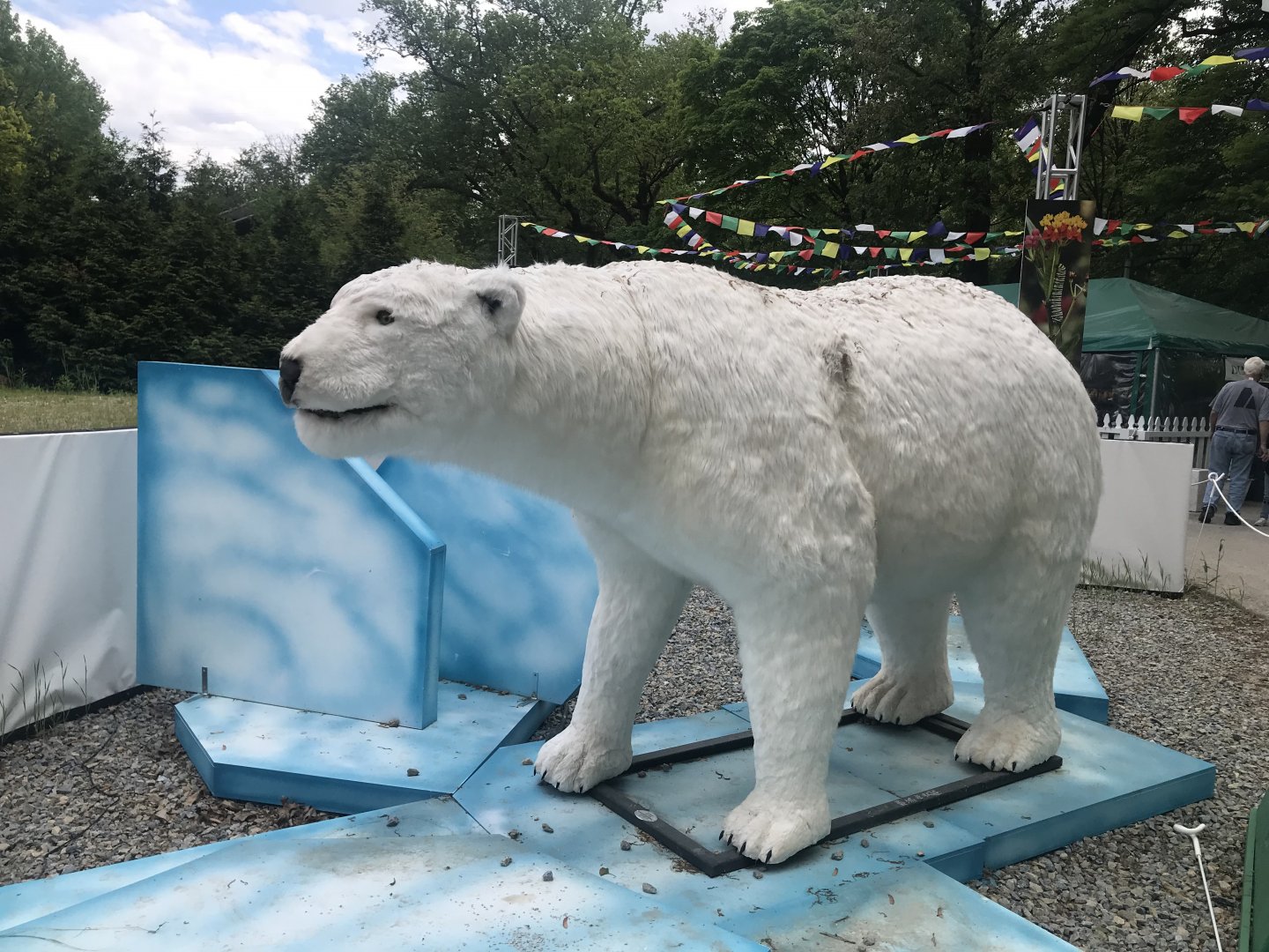 Stop 21: Polar Bear