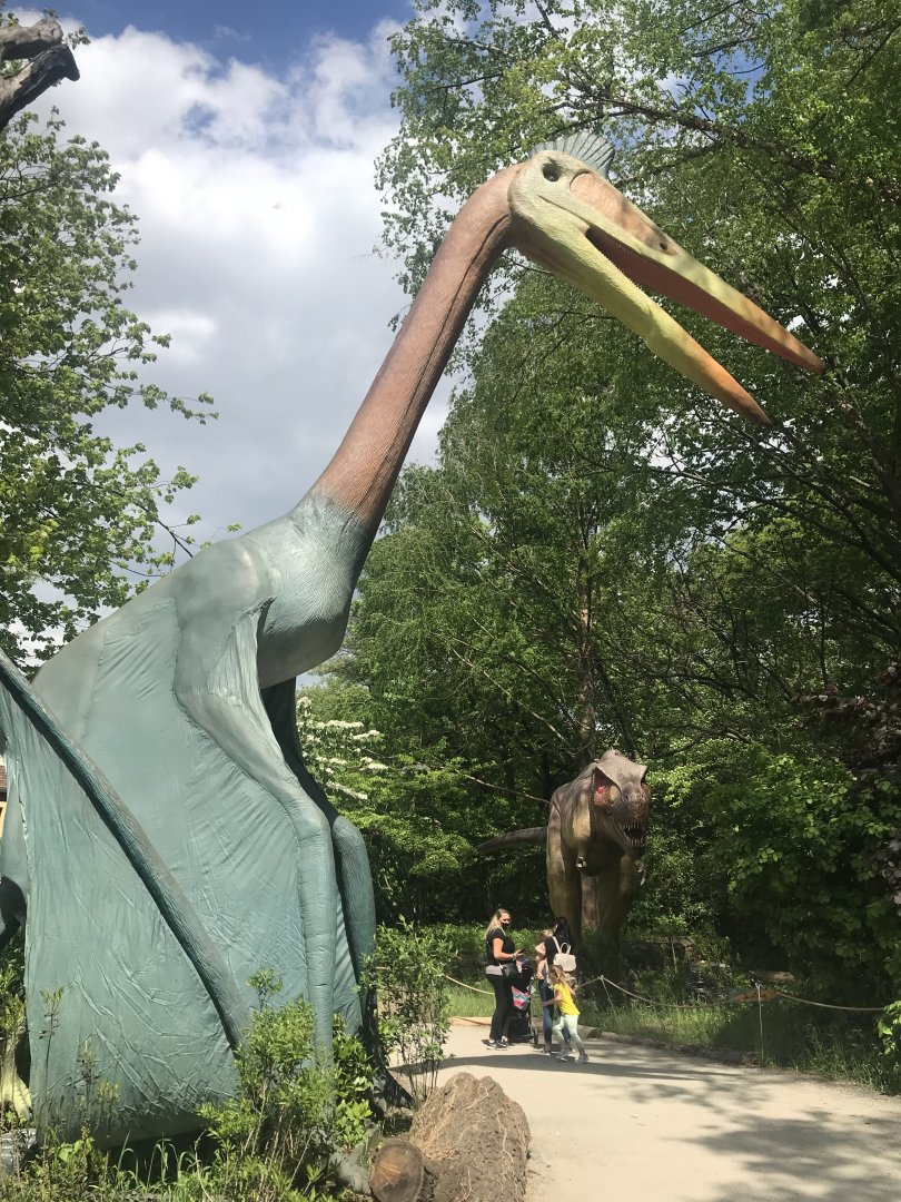 Stop 6: Quetzalcoatlus