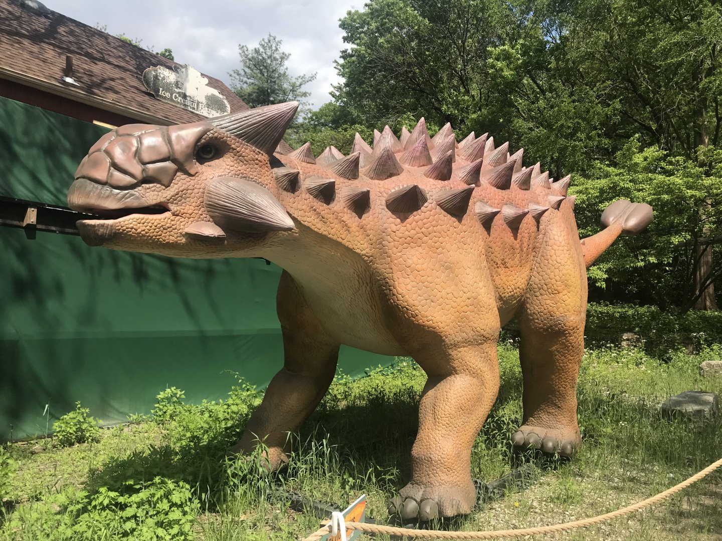 Stop 8: Ankylosaurus