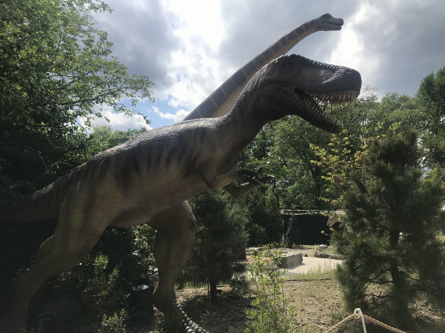 Stop 9: Juvenile T. rex #2