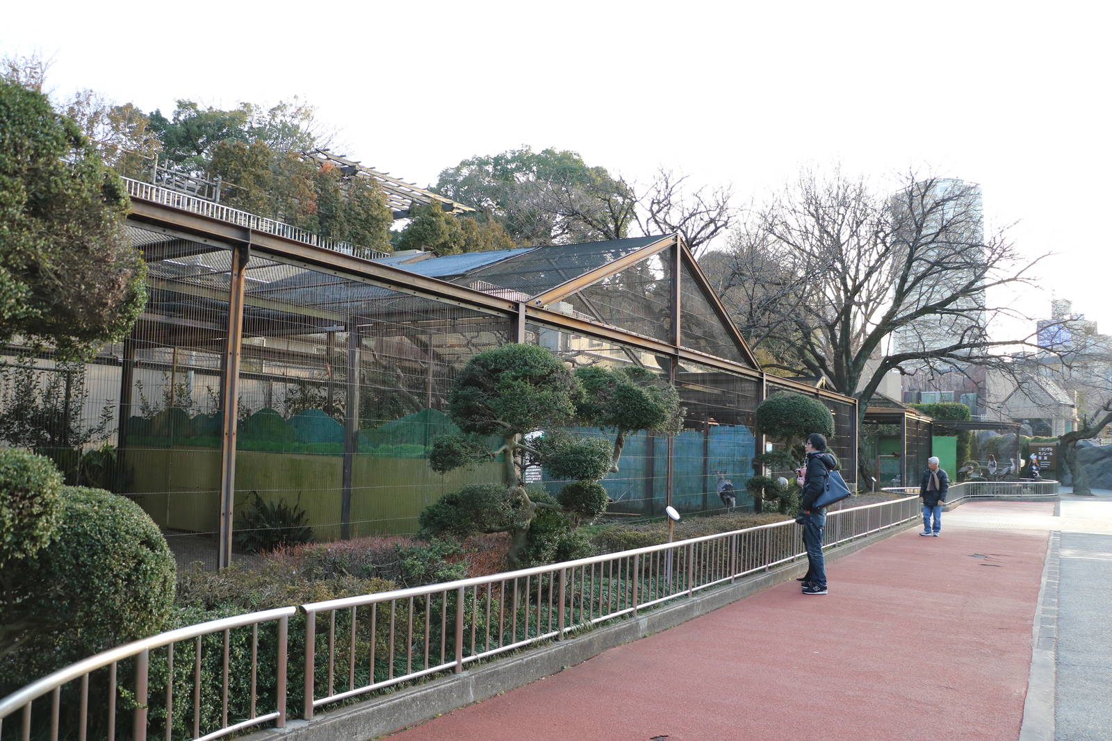 Stork and crane aviaries, February 2016
