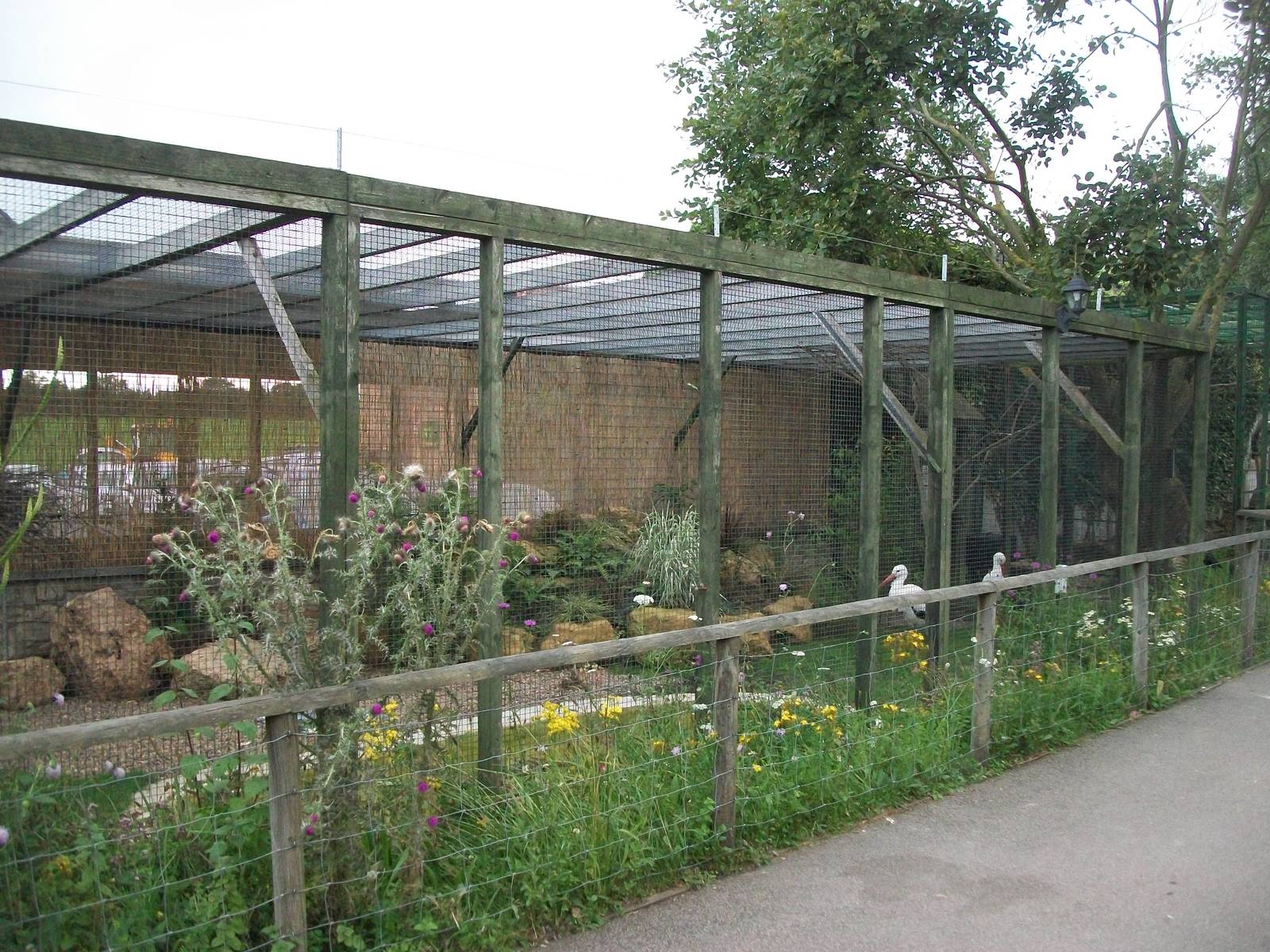 Stork and Egret aviary, 3rd August 2012