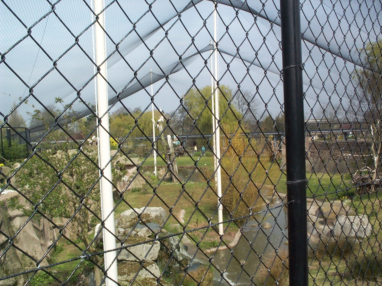 stork aviary April 2000