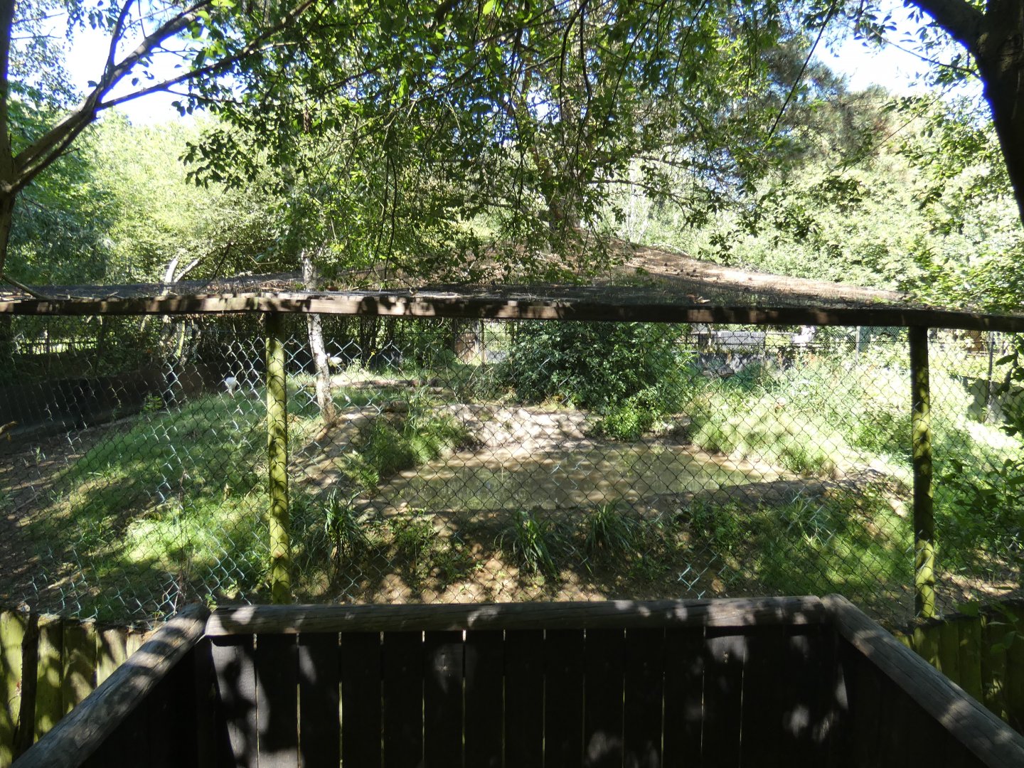 Stork aviary