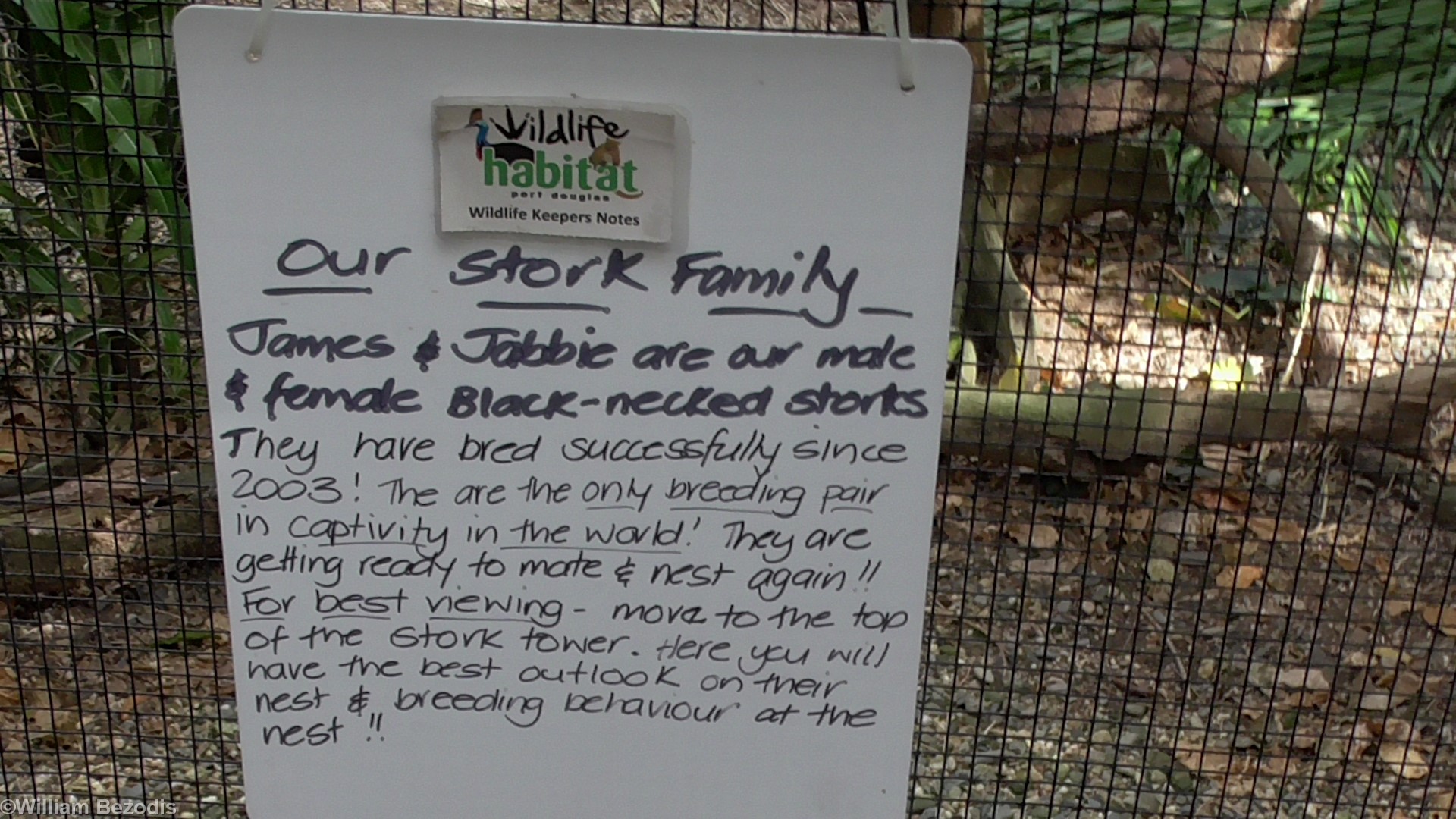 Stork Breeding Signage